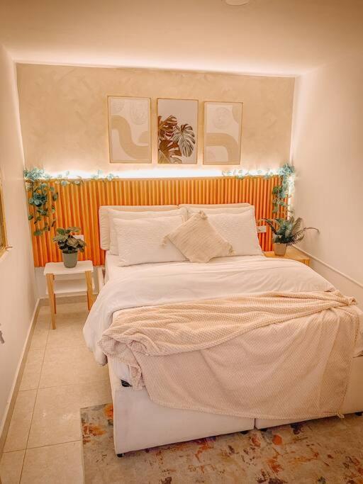 Madrigal Luxury Loft M01