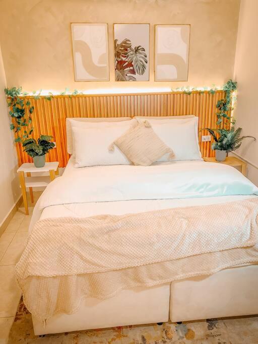 Madrigal Luxury Loft M01