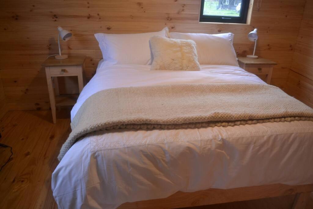 Cabañas Línea Nueva - Celeste