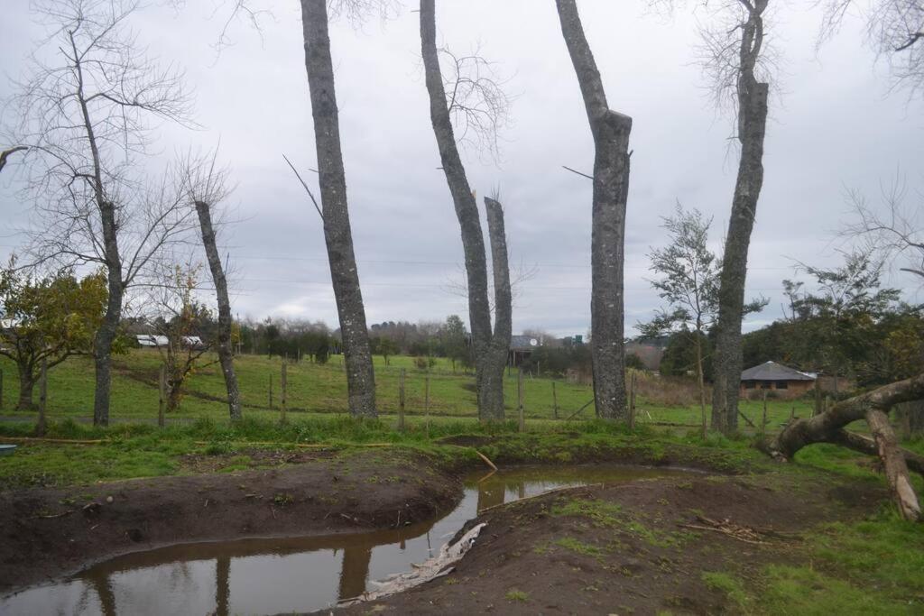 Cabañas Línea Nueva - Celeste