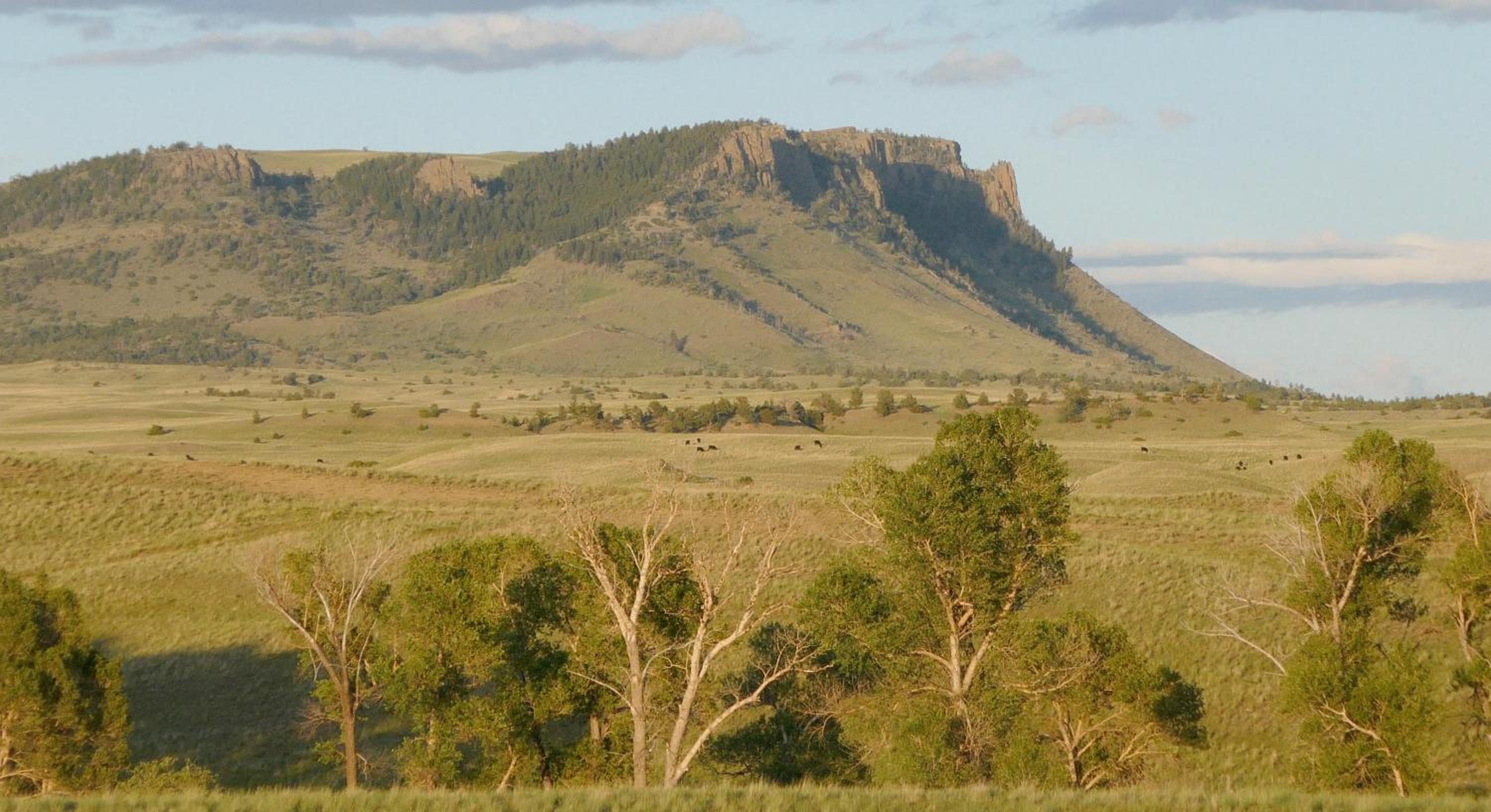 The Shepherd's Retreat view 4