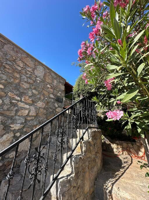 Orman İçinde Muhteşem Villa view 4