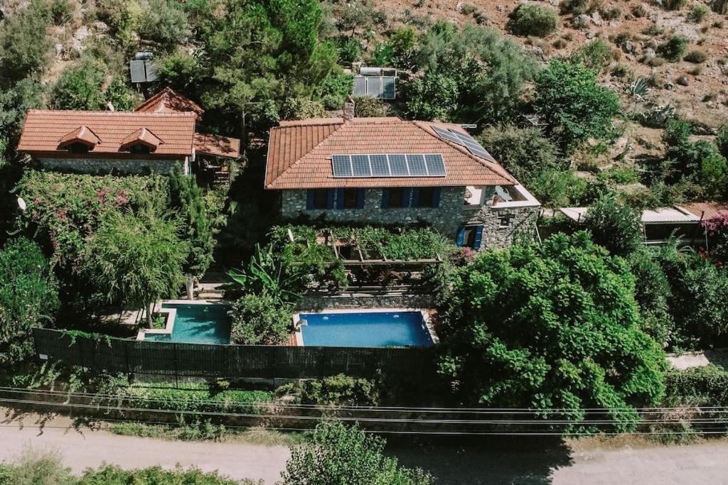 Photo 62