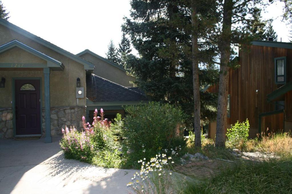 Photo 25