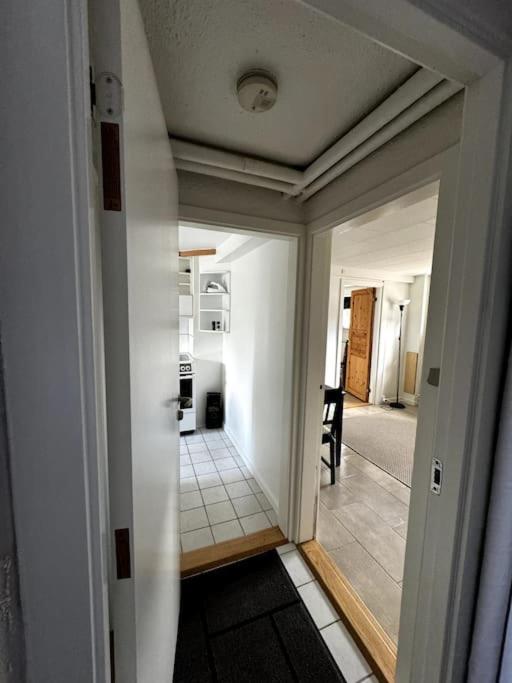 Hyggelig kælderlejlighed