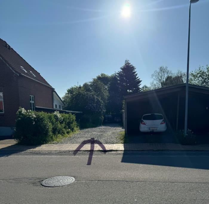 Hyggelig kælderlejlighed