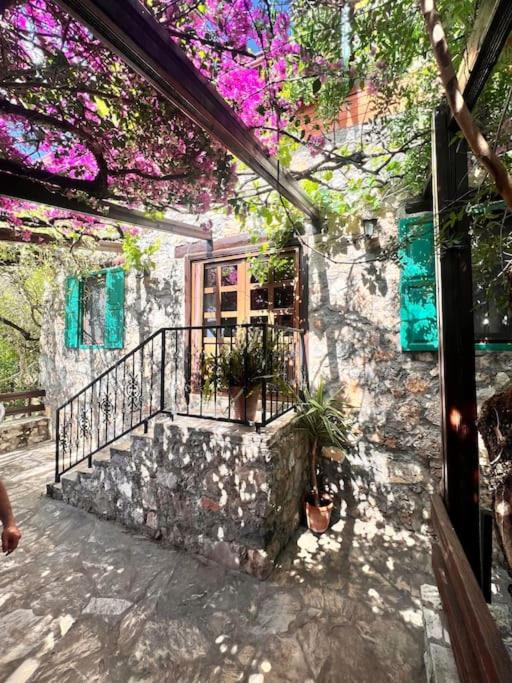 other