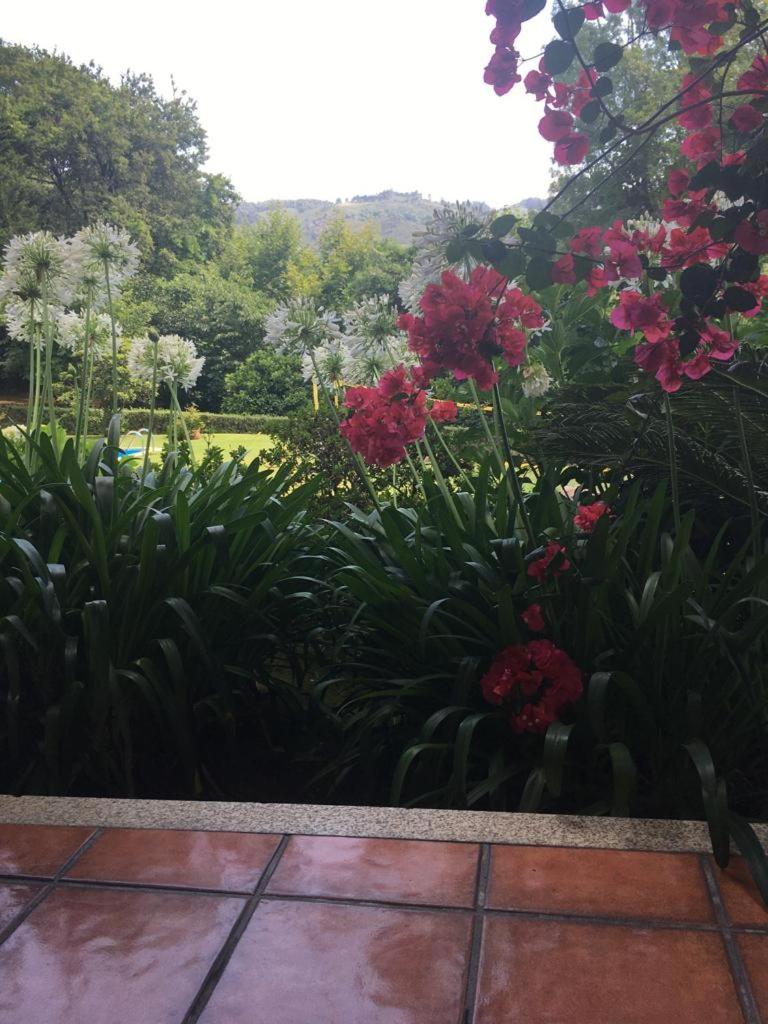 Green Villa Gerês view 5