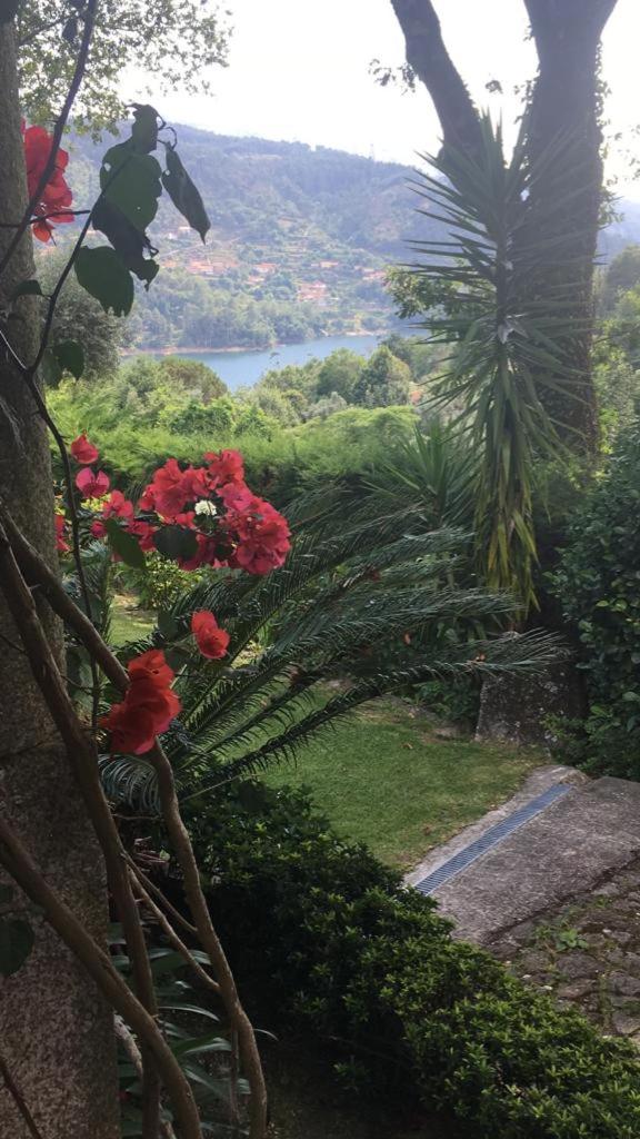 Green Villa Gerês view 4