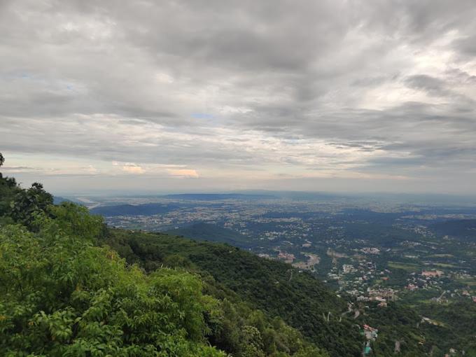 Forest Life Resort view 3