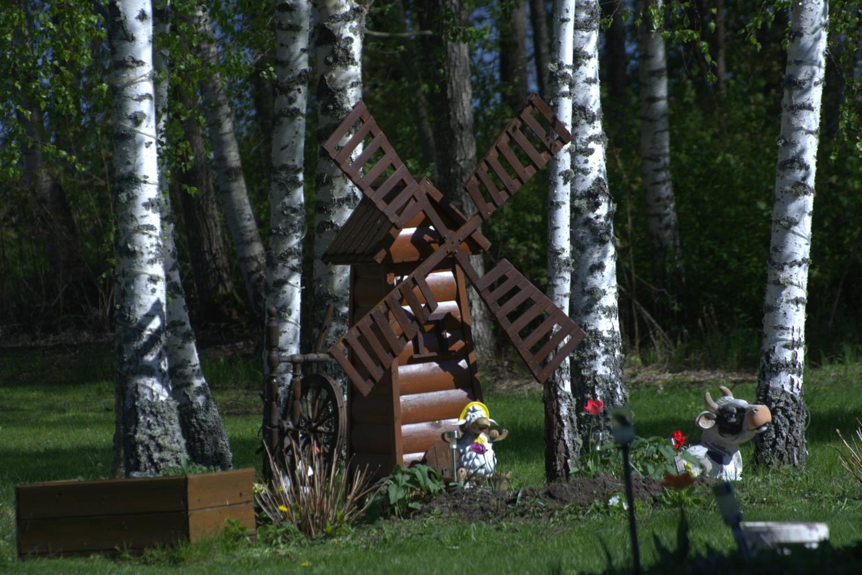 Photo 20