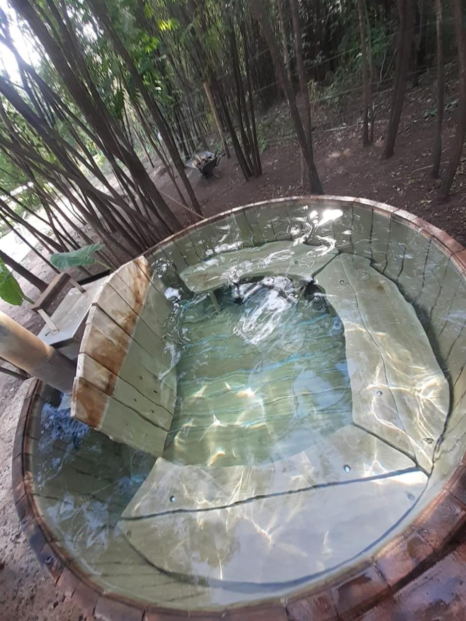 La Casa Del Bosque