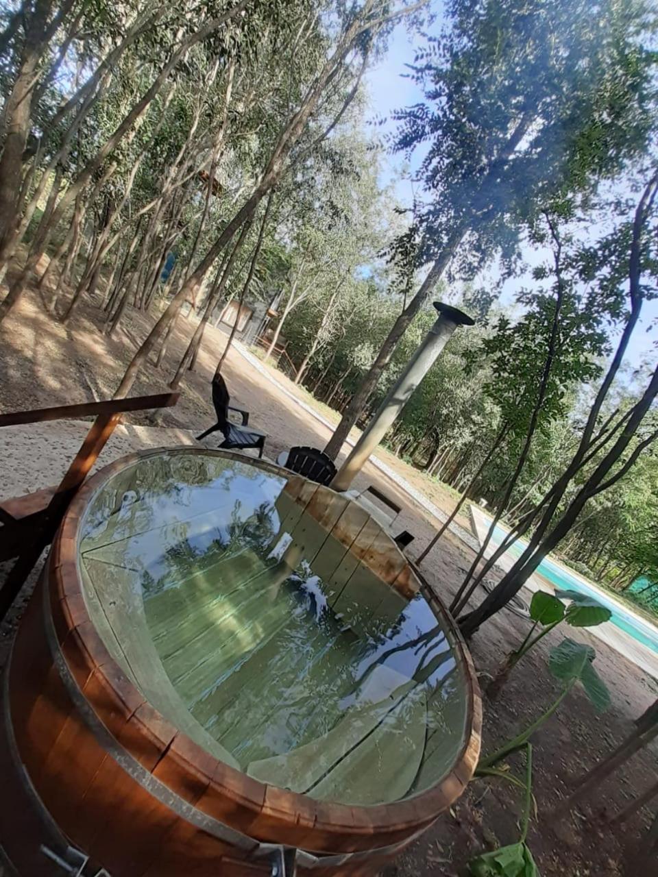 La Casa Del Bosque