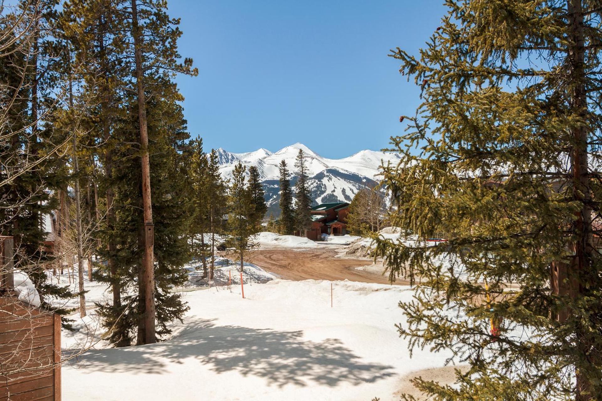 Ski View Cabin by Great Western Lodging view 3