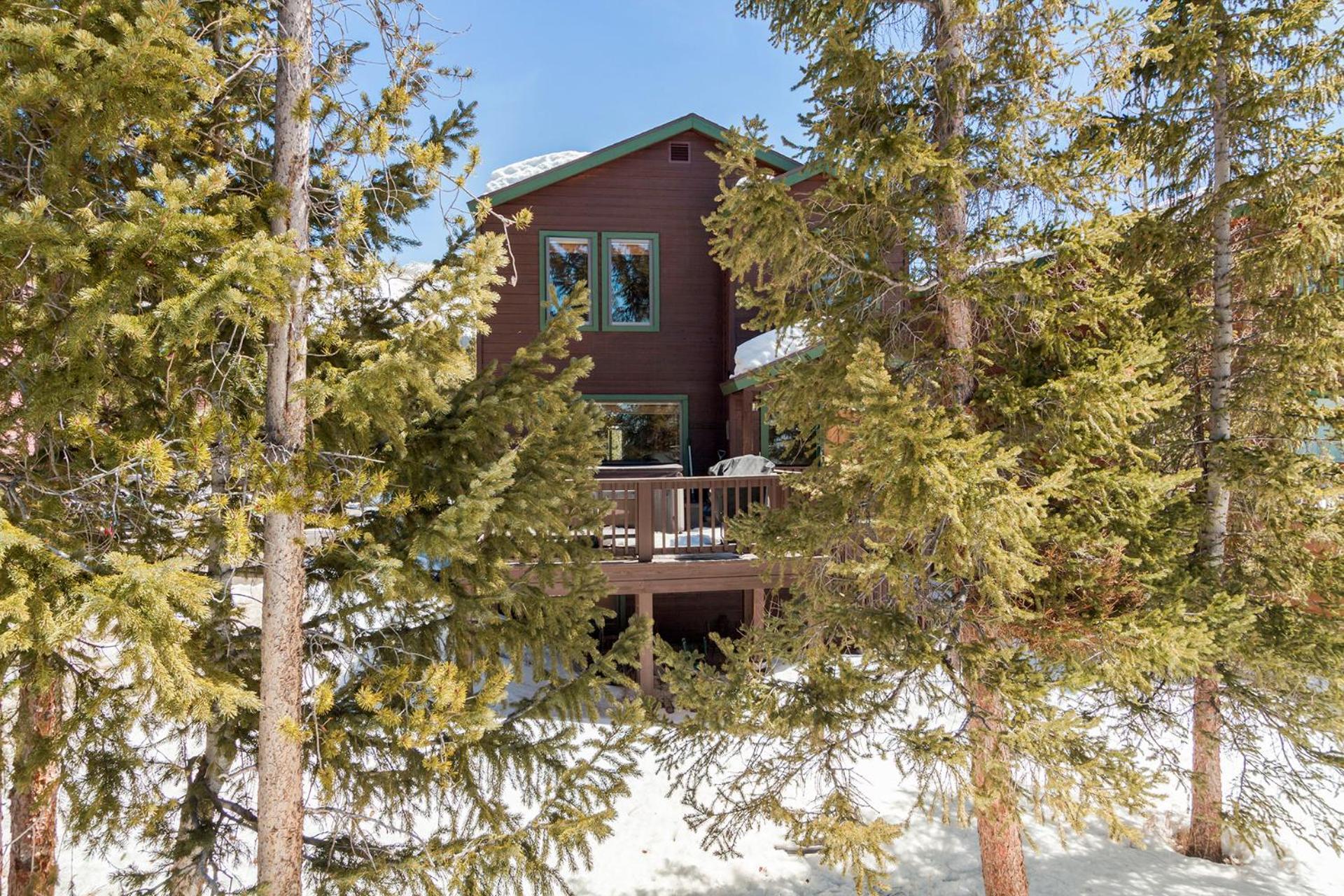 Ski View Cabin by Great Western Lodging view 4