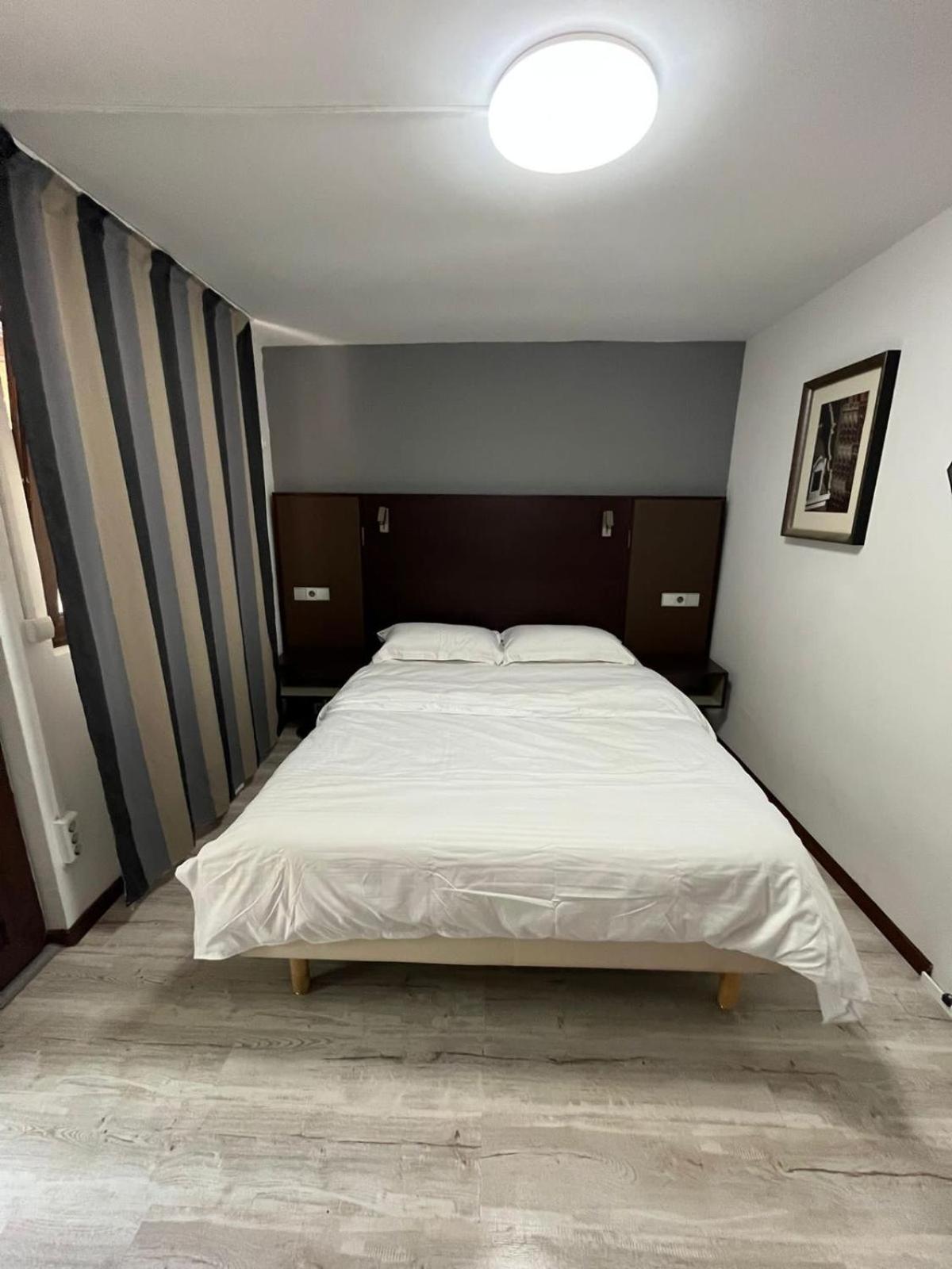 DHARMA HOUSE view 4