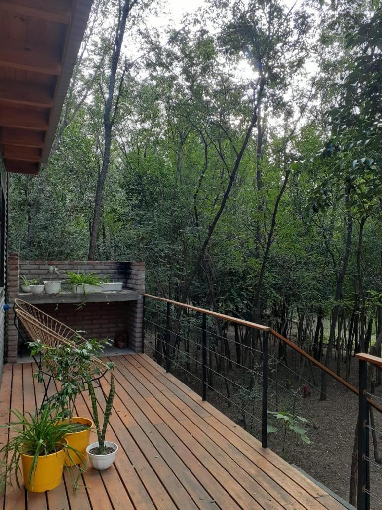 La Casa Del Bosque