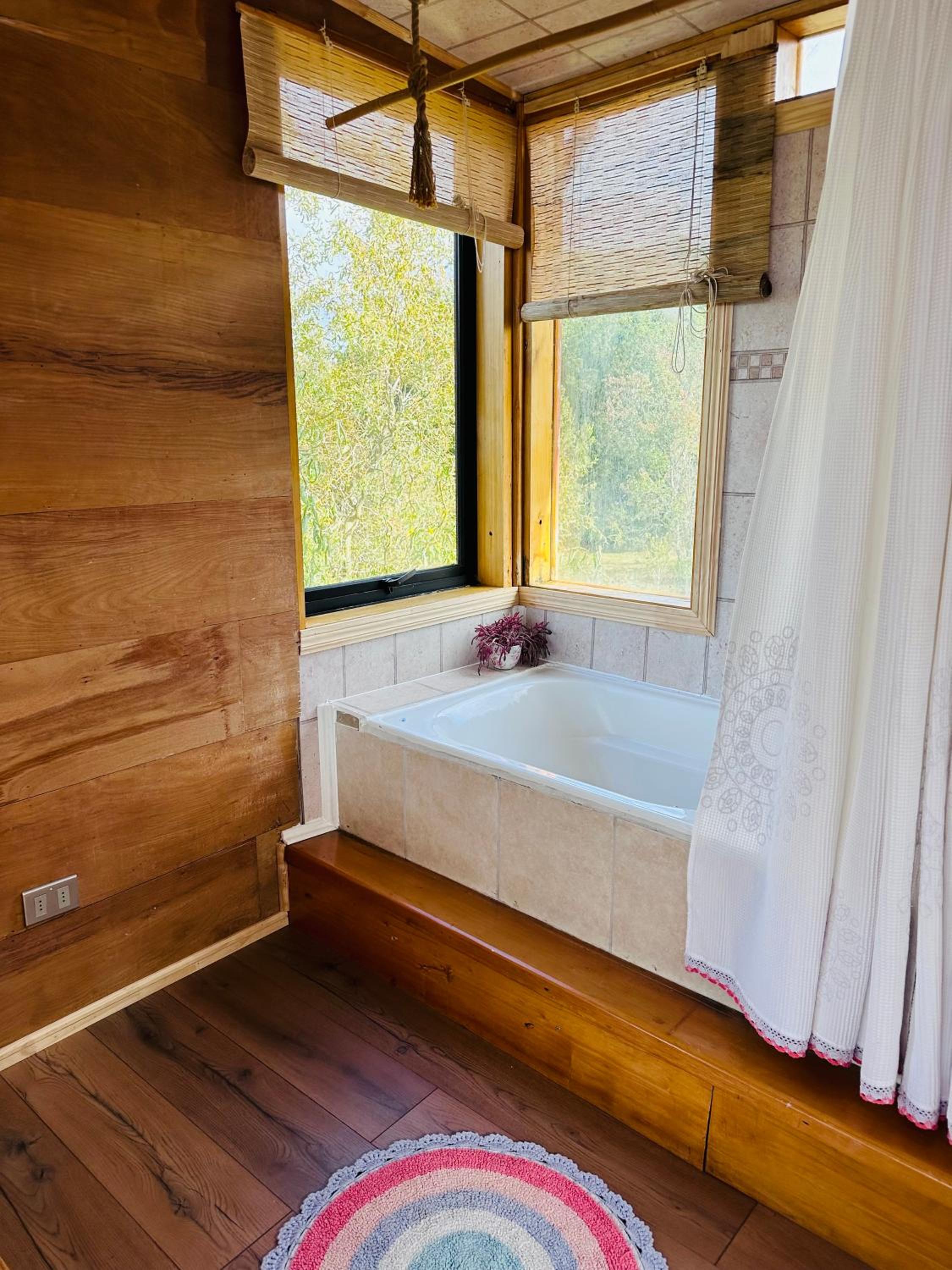 Loft en la naturaleza CarreteraAustral bella vista