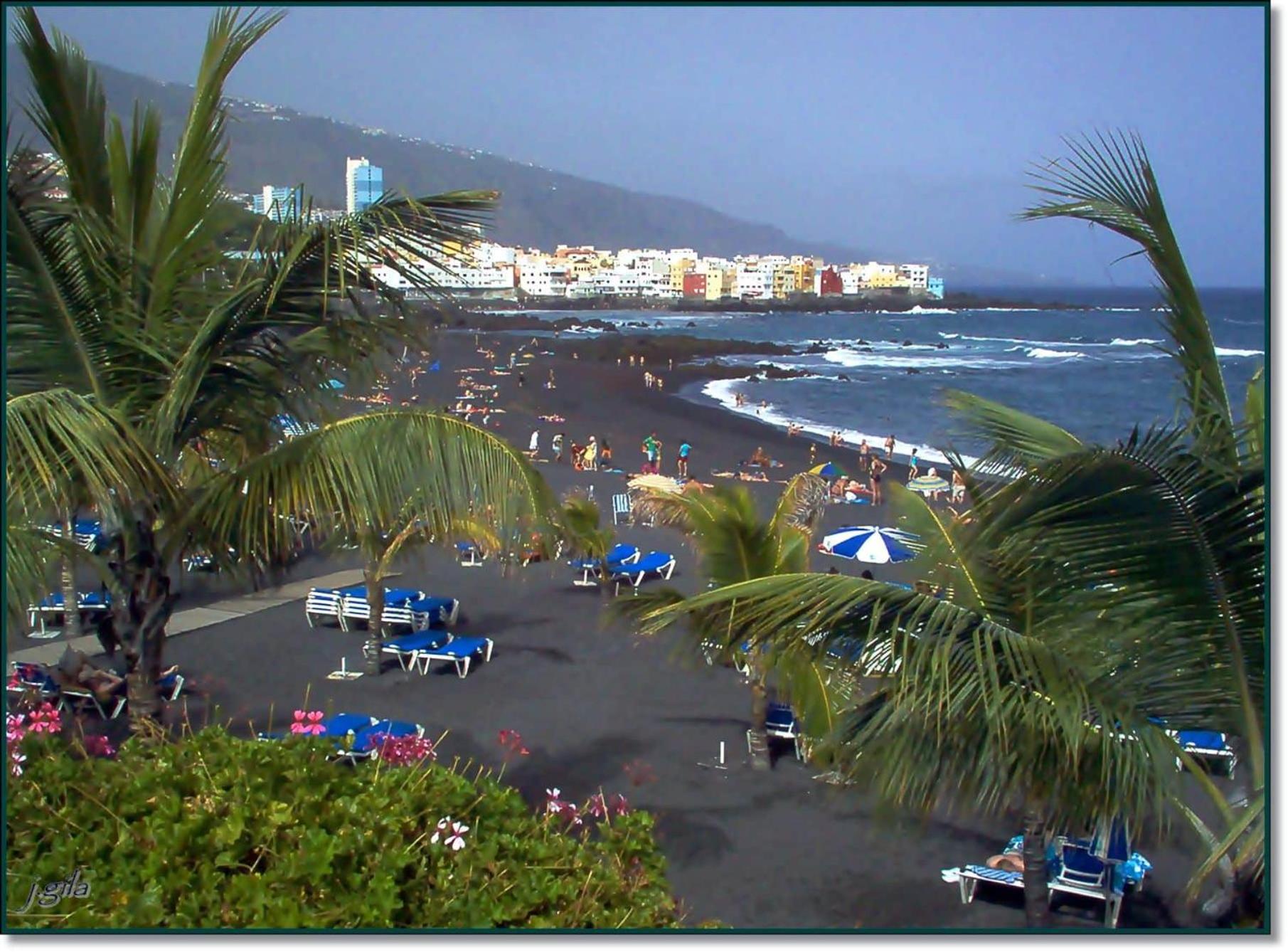 Bonito apart sea view playa jardin