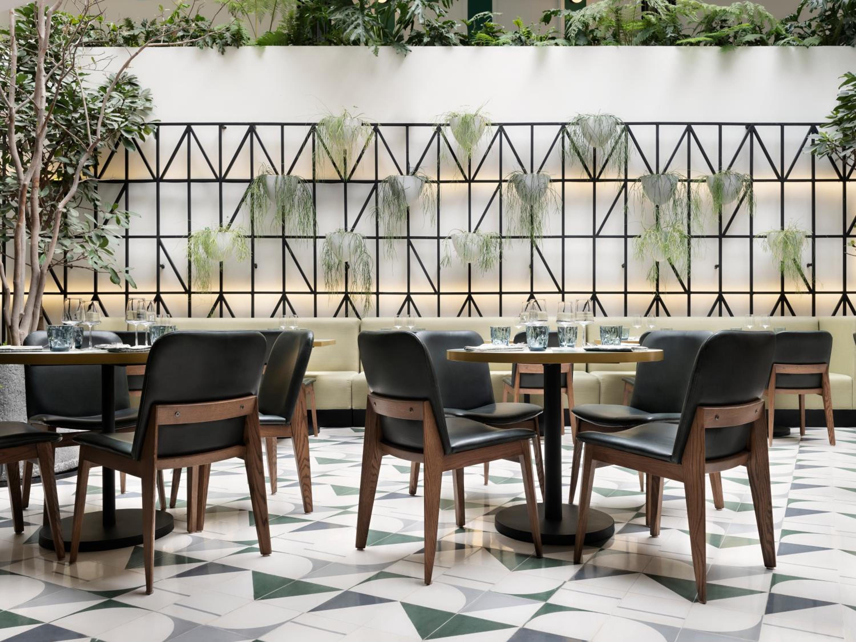 Kimpton Virgilio Polanco by IHG 16
