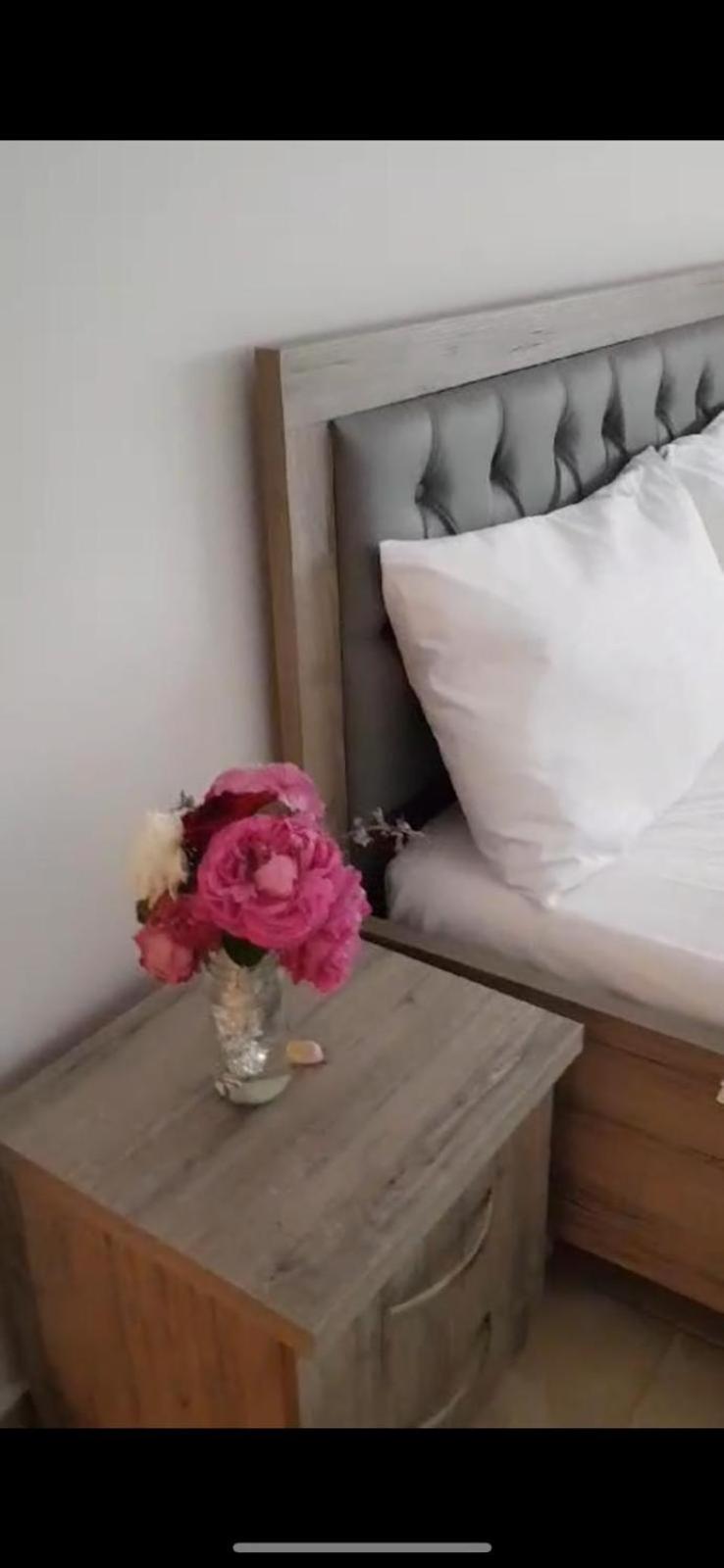 Apartment vlore Arqile