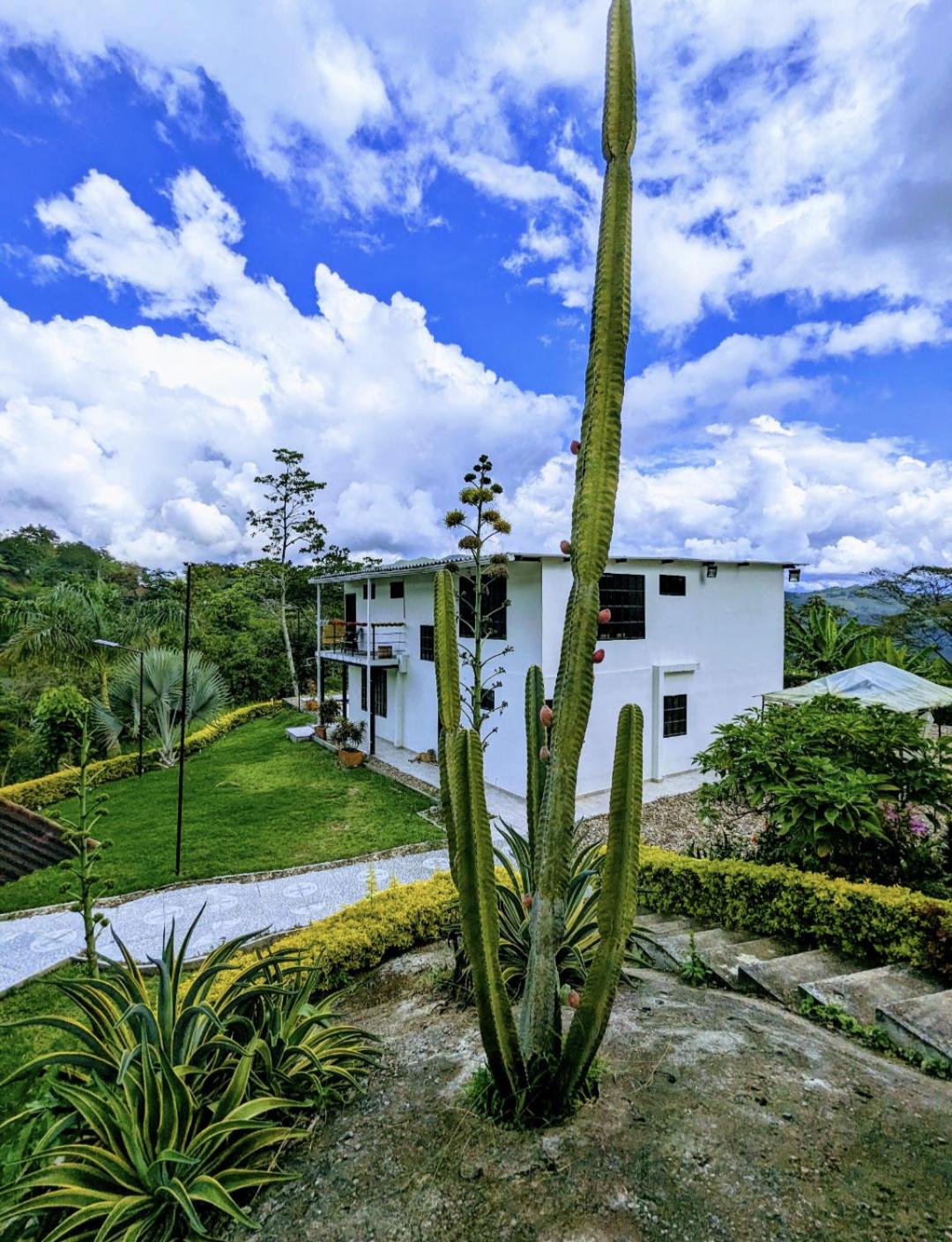 Finca Boutique Los Laureles Villeta