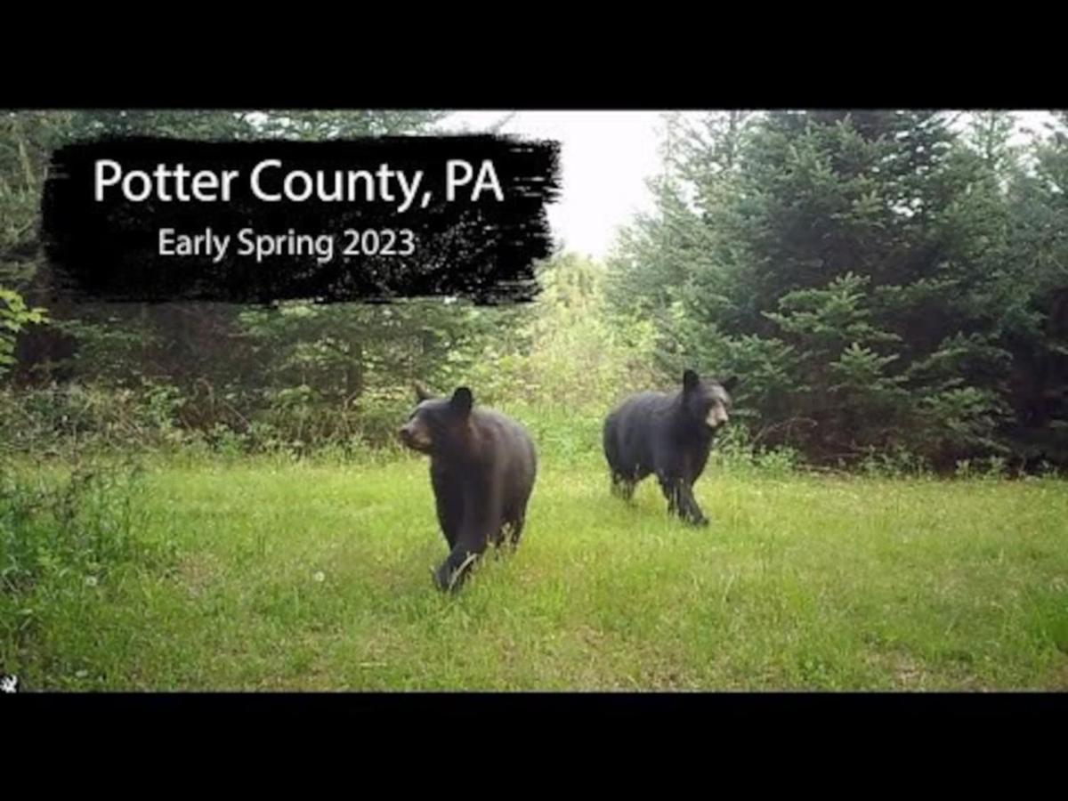 266 Perfect for large groups and events view 4