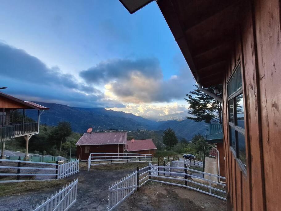 Cabaña Mariposa Cometa – Living IN THE clouds!