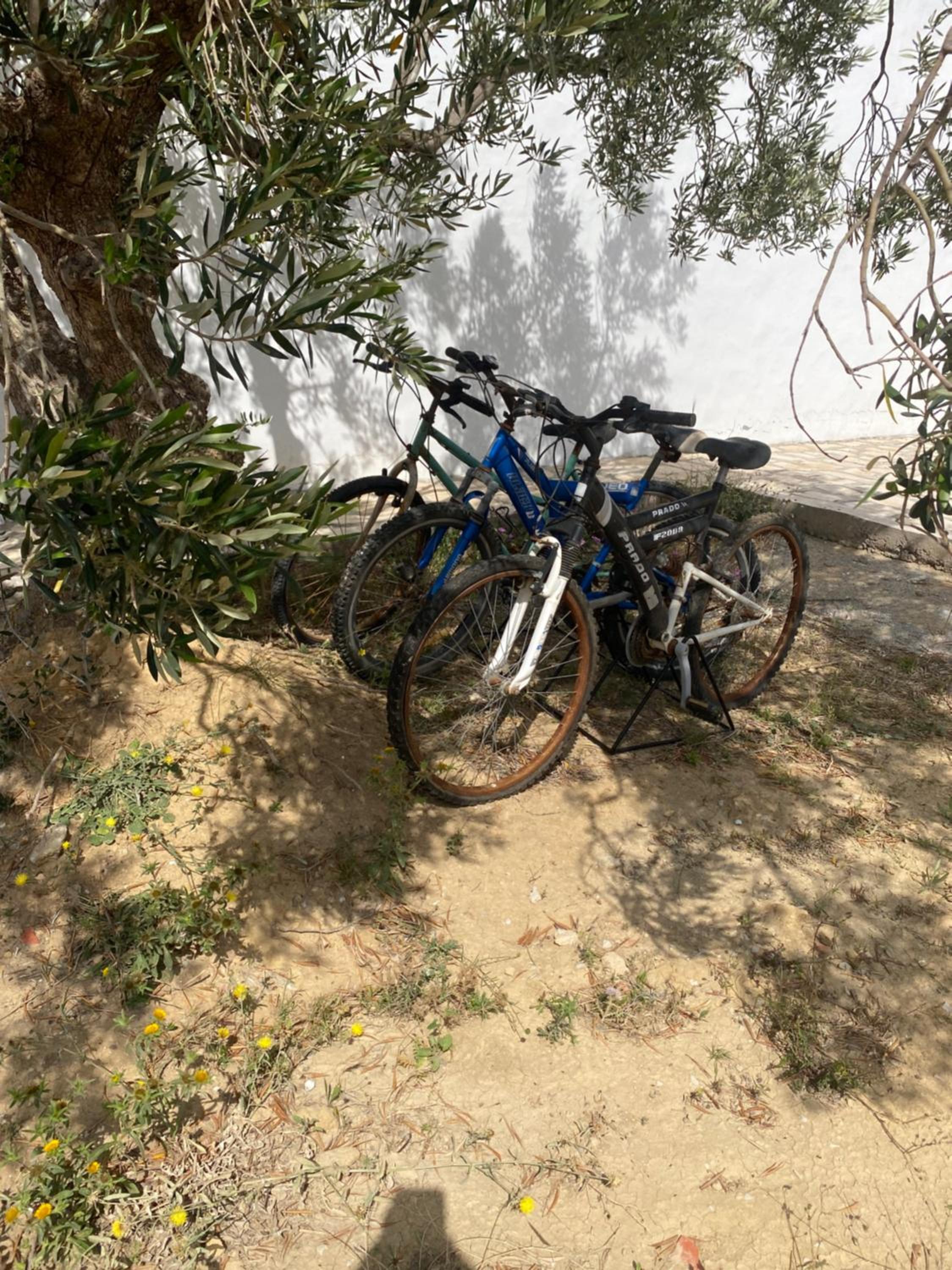 Photo 31