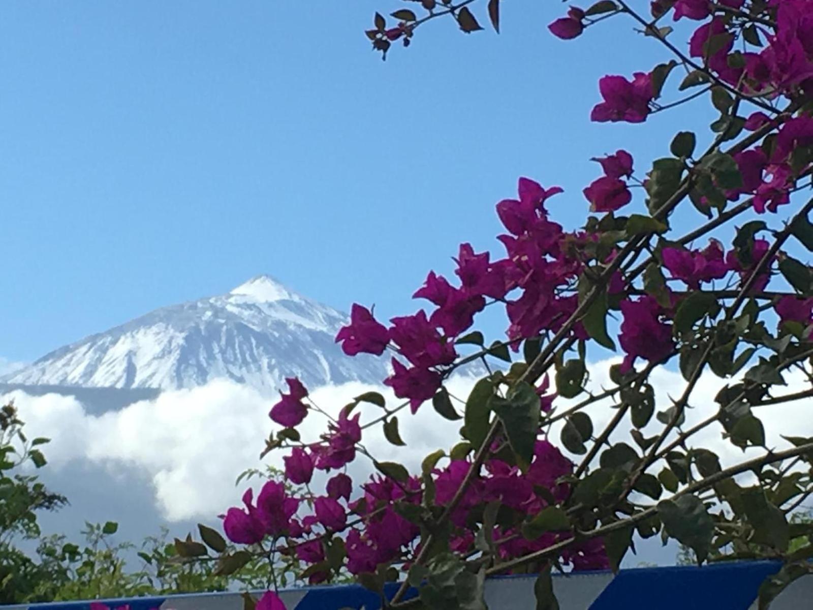 Hotel Ankerplatz - casa Juseli - Ruhe und Erholung - Image 1