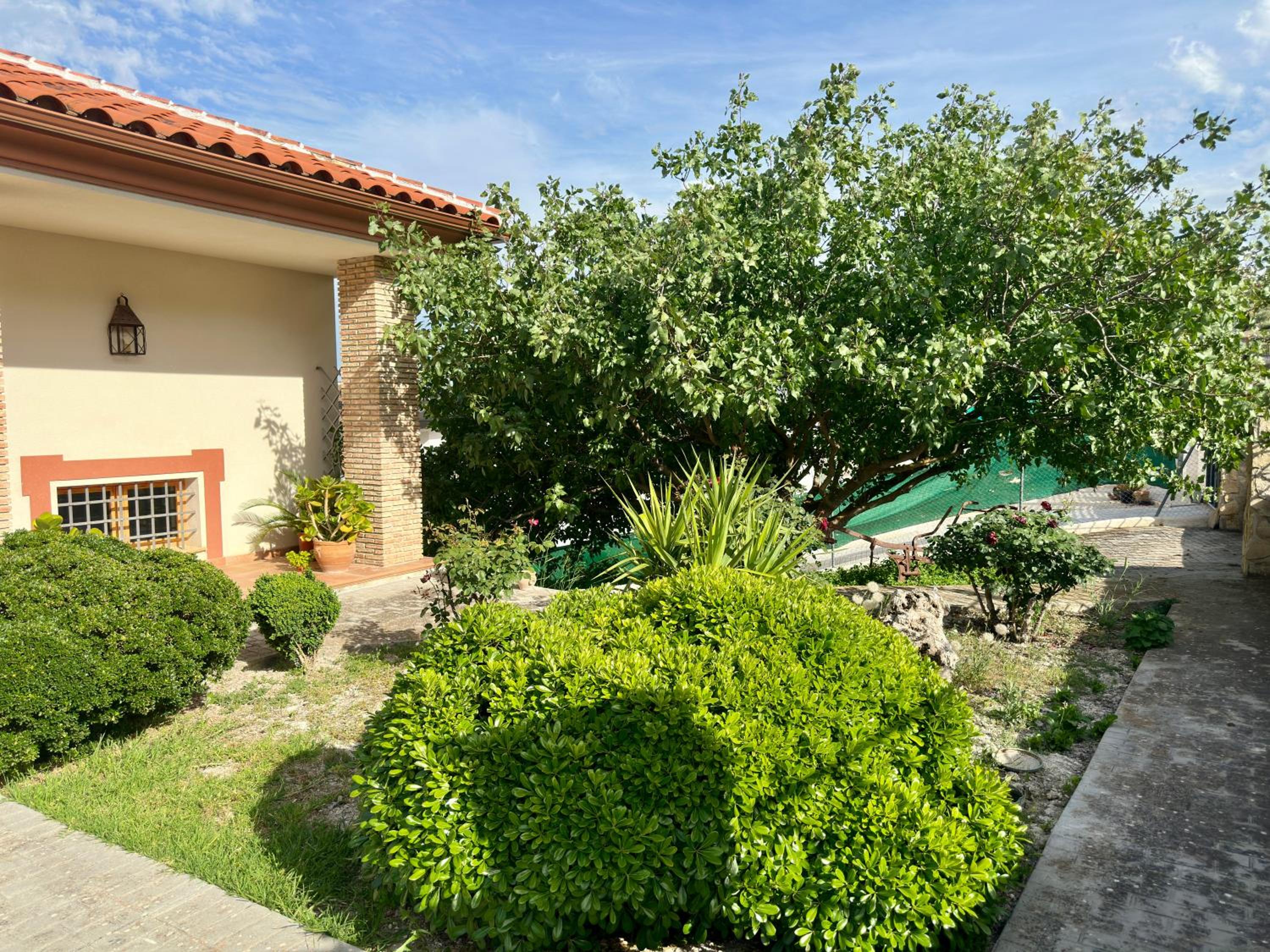 Casa rural El Arado