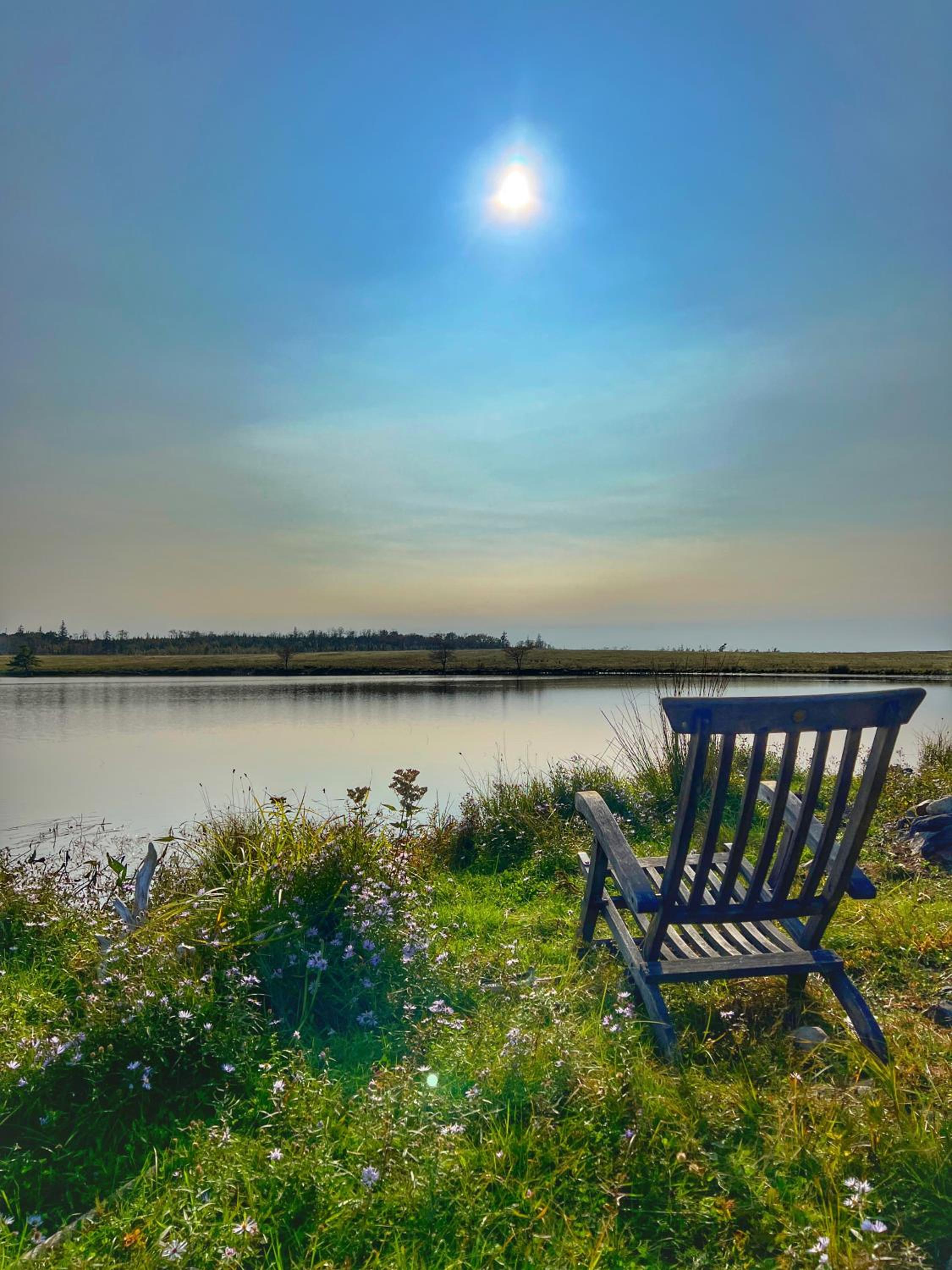 Moose River Cottage