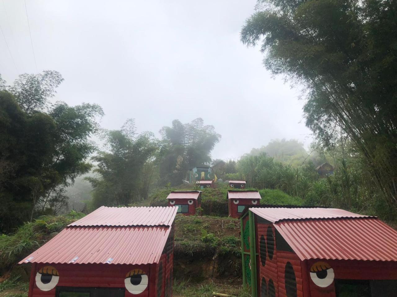 El Parque del Loro