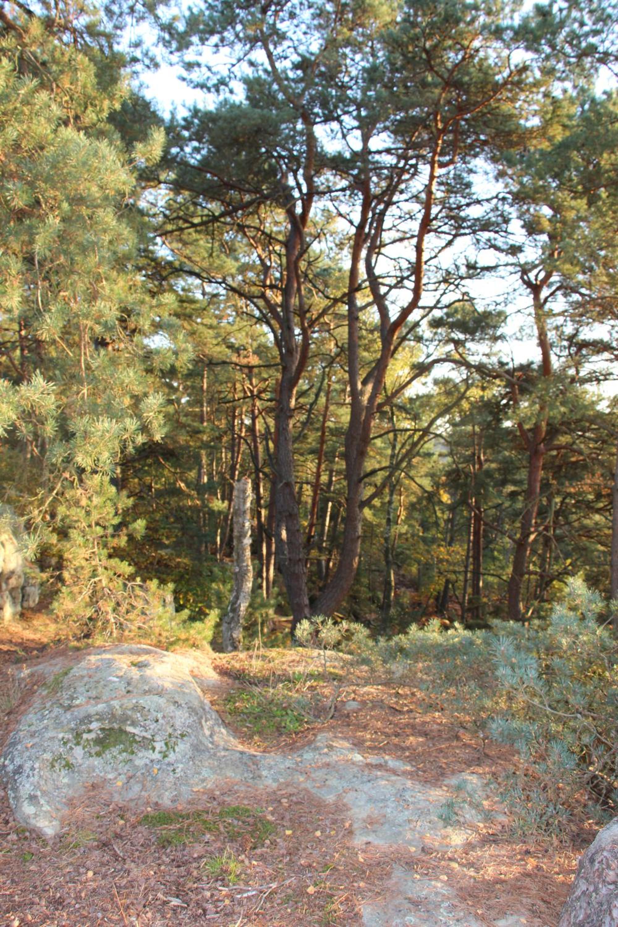 Photo 23