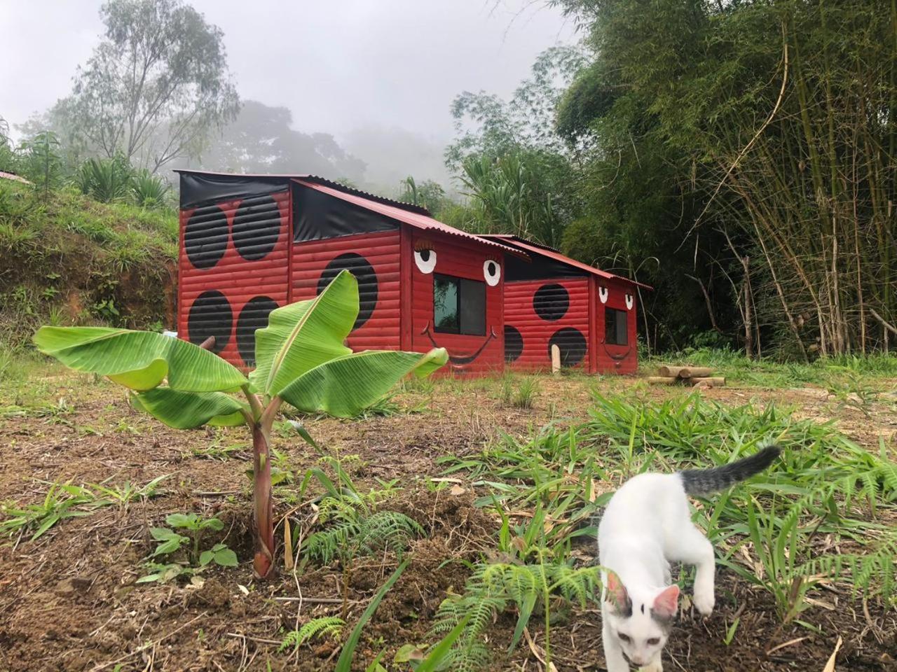 El Parque del Loro