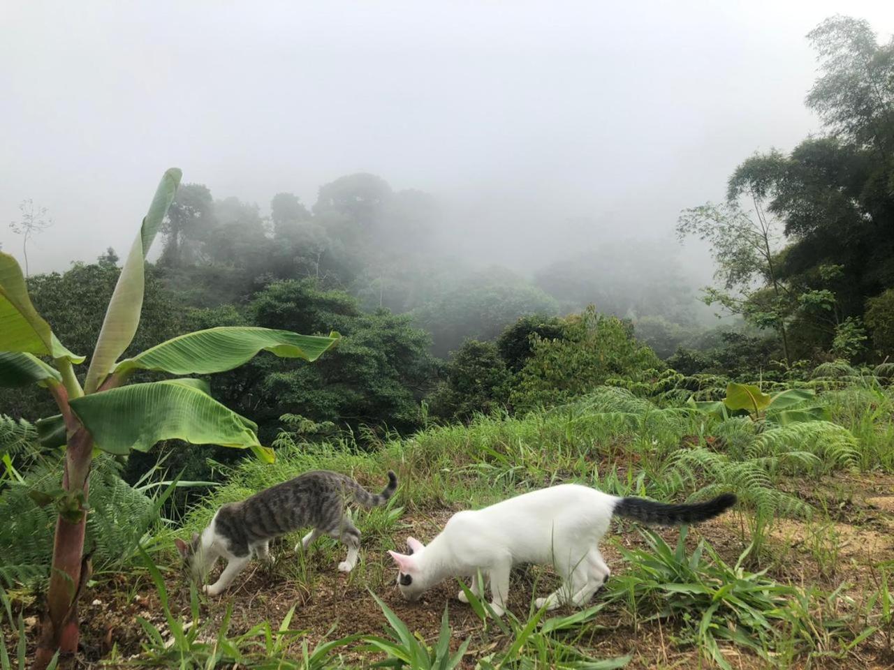 El Parque del Loro