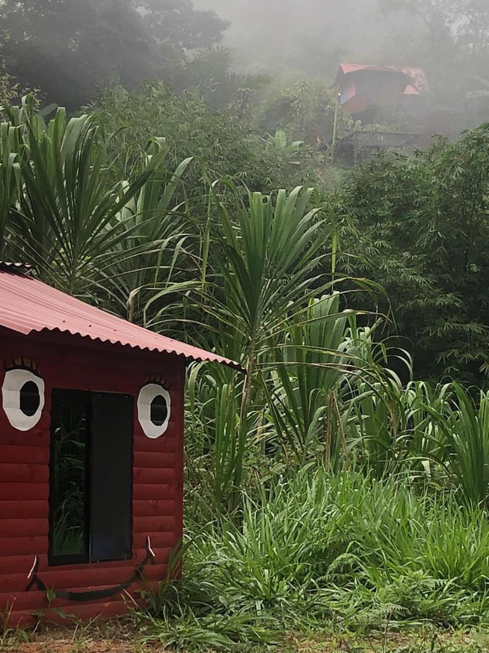 El Parque del Loro