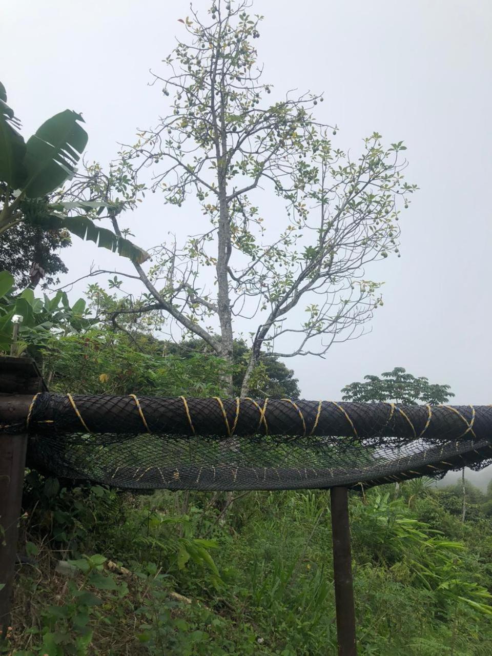 El Parque del Loro