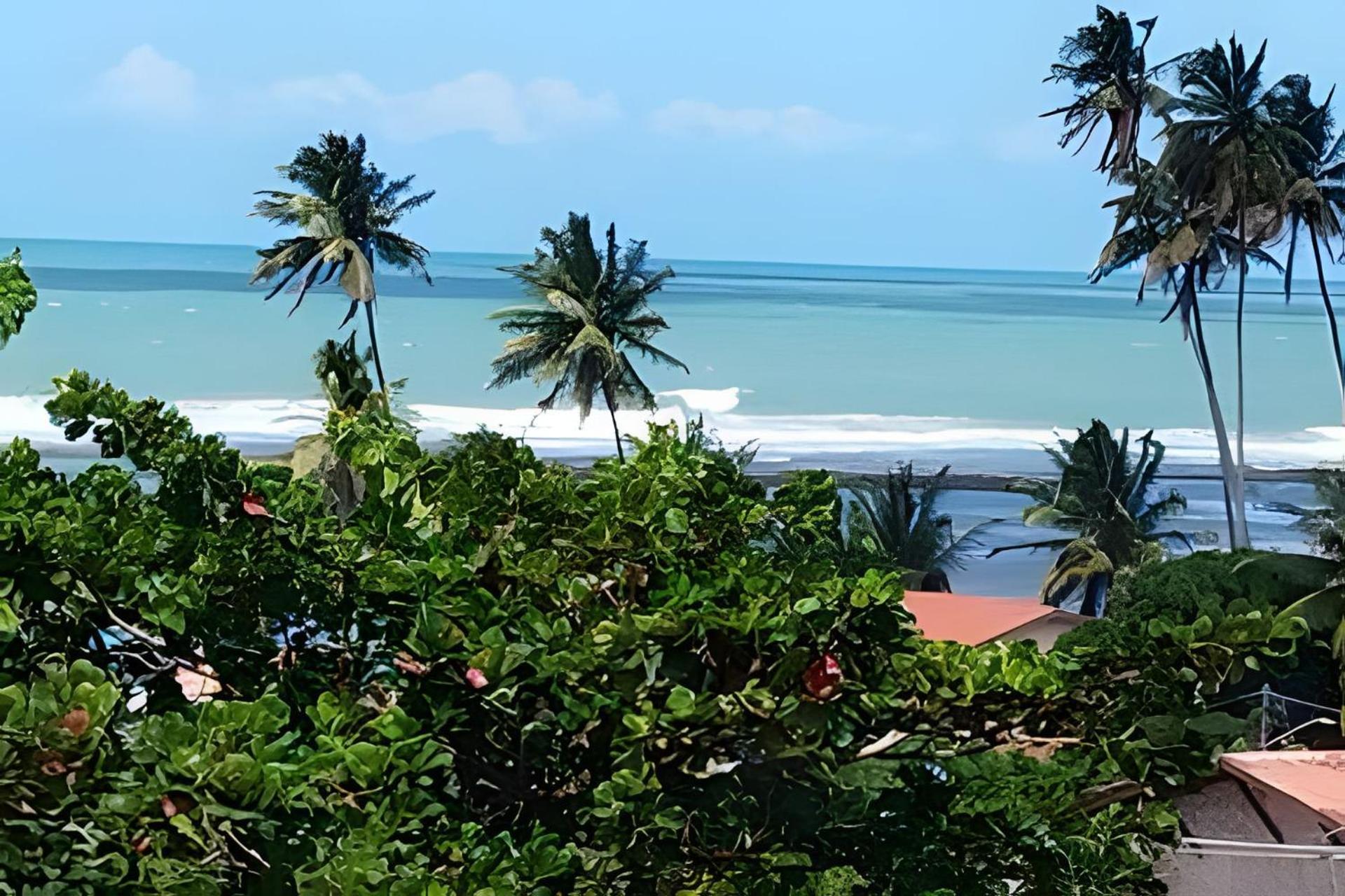 Green Porto Beach – Comfort in the Heart of Porto de Galinhas