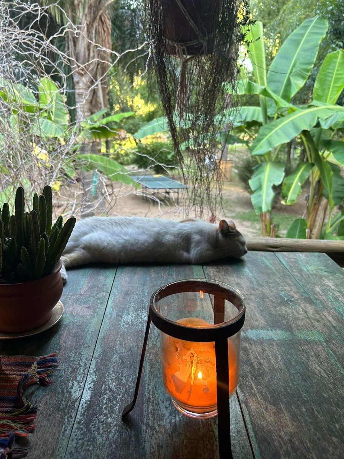Cabañas AlRío Quietud en Movimiento