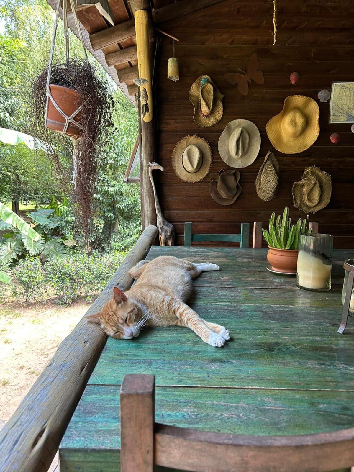 Cabañas AlRío Quietud en Movimiento