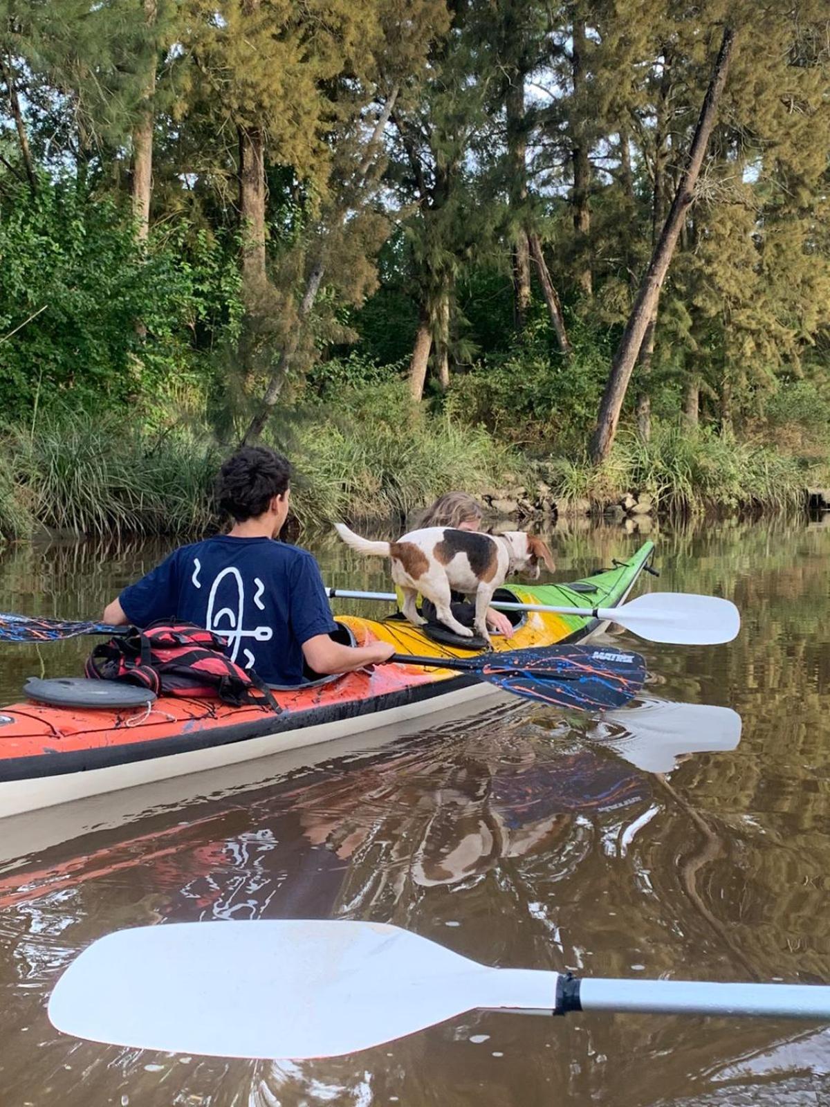 Cabañas AlRío Quietud en Movimiento