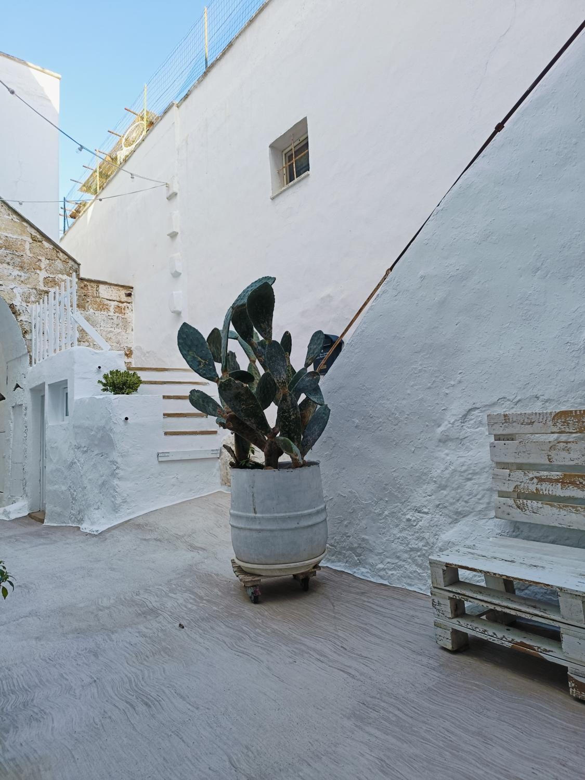 Leccino Suite photo 3