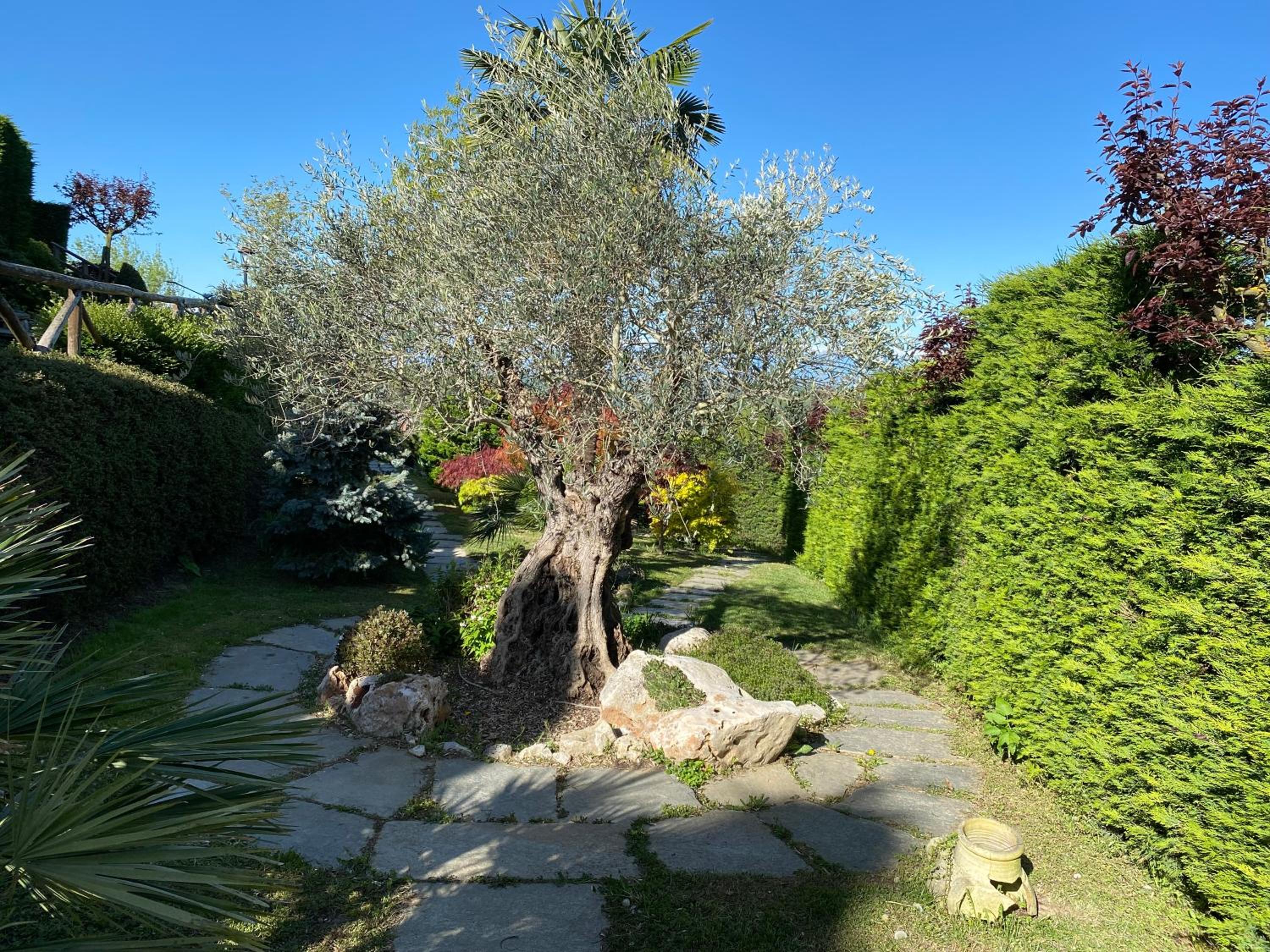 Photo 28