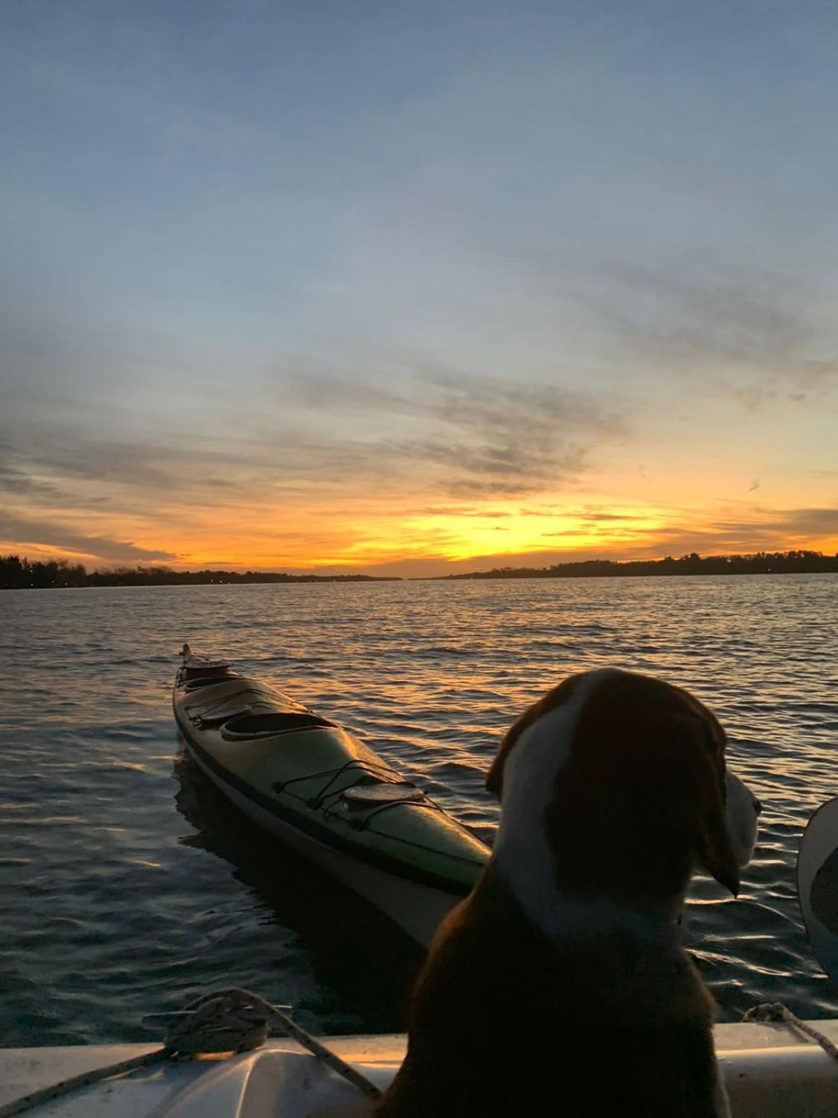 Cabañas AlRío Quietud en Movimiento
