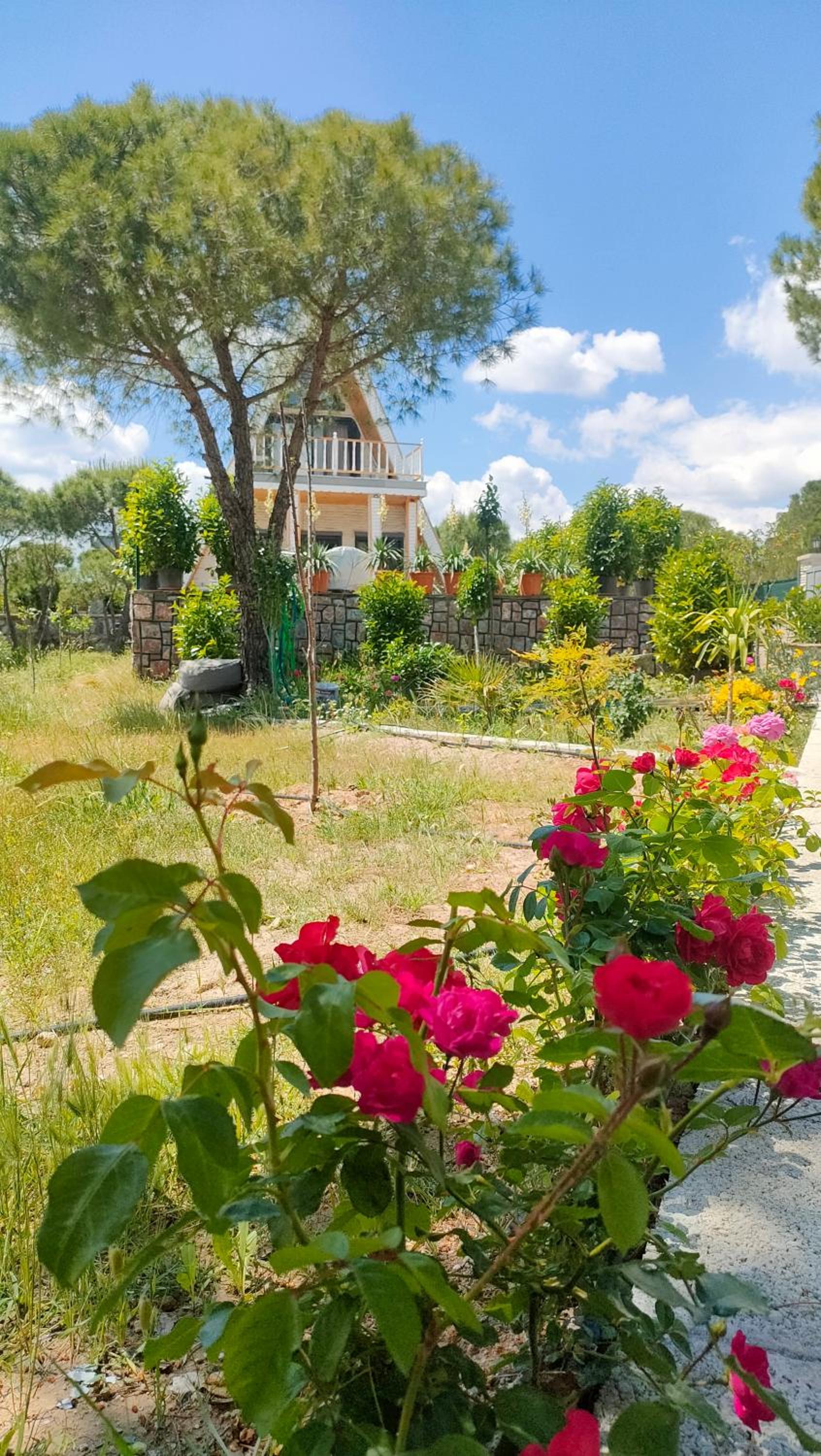 Villa with private HEATED Pool, near to the airport with Incredible view & Garden! view 2