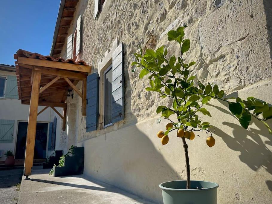 Le gîte du besson Cassagne