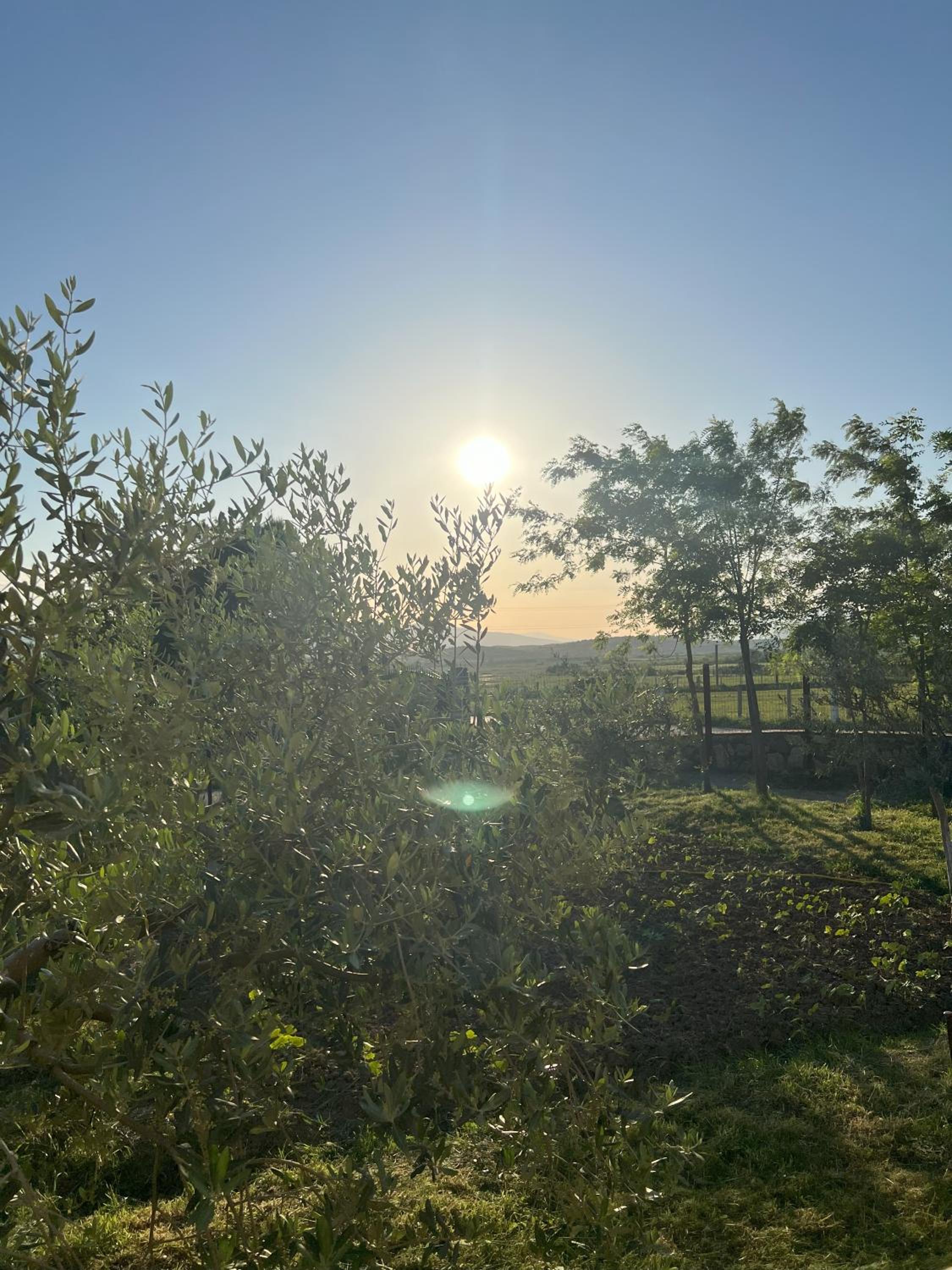 Guesthouse Koleci - Mrizi Zanave
