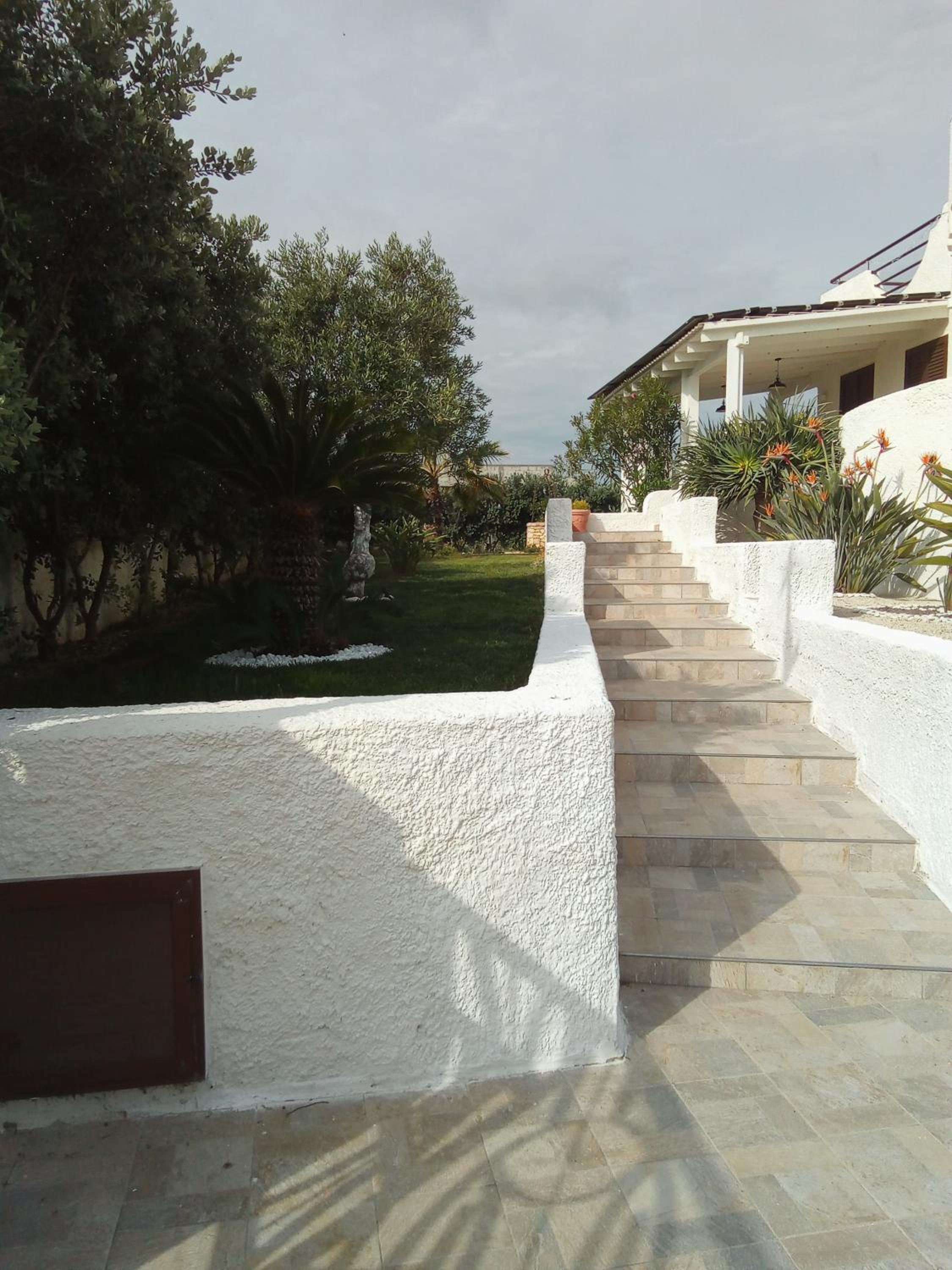 Photo 49