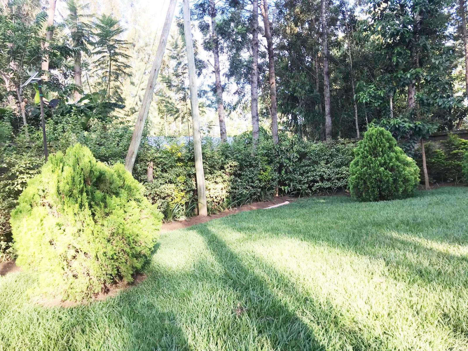 Summer Homes Bungoma